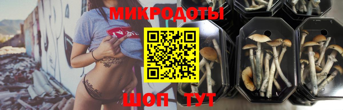 Екатеринбург  Галлюциногенные грибы прущие грибы  Вход с VPN  Галлюциногенные грибы Psilocybe 